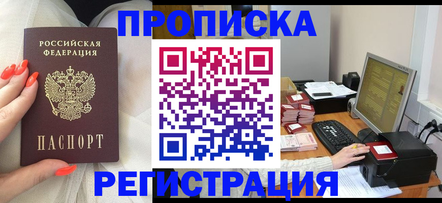 временная регистрация поиск в Барыше